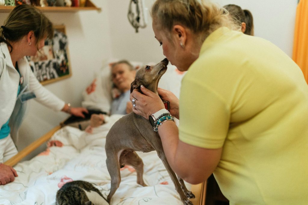 Caring staff and elderly enjoy moments of joy with therapy pets in a retirement home.